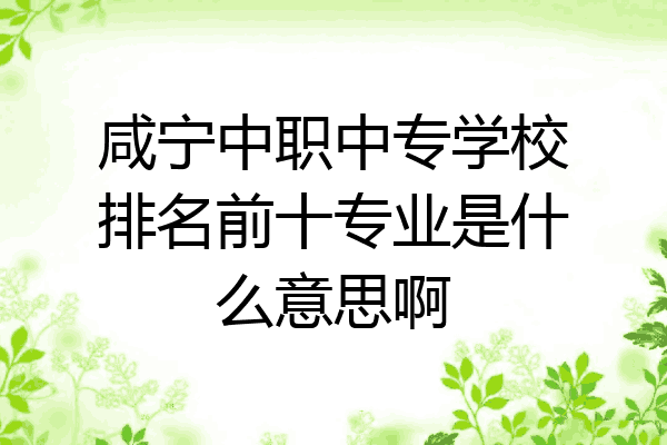 咸宁中职中专学校排名前十专业是什么意思啊