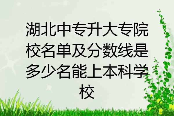 湖北中专升大专院校名单及分数线是多少名能上本科学校