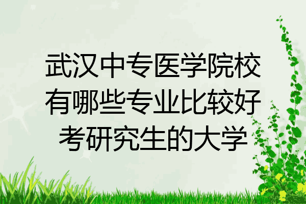 武汉中专医学院校有哪些专业比较好考研究生的大学