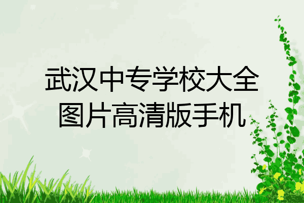 武汉中专学校大全图片高清版手机