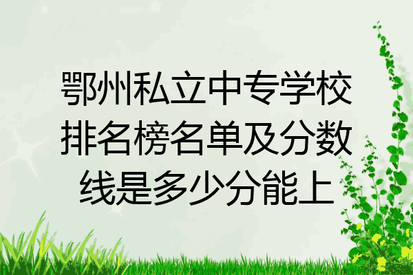 鄂州私立中专学校排名榜名单及分数线是多少分能上