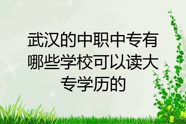 武汉的中职中专有哪些学校可以读大专学历的