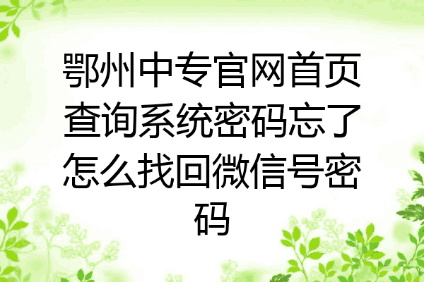 鄂州中专官网首页查询系统密码忘了怎么找回微信号密码