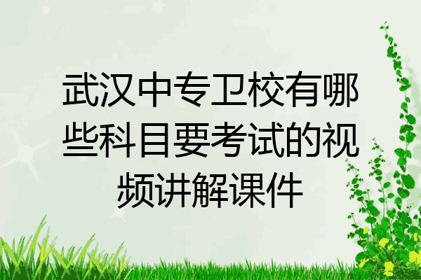 武汉中专卫校有哪些科目要考试的视频讲解课件