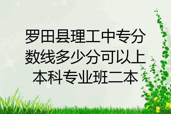 罗田县理工中专分数线多少分可以上本科专业班二本