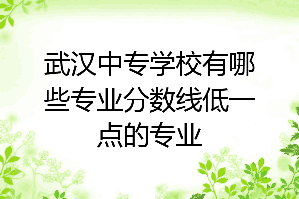武汉中专学校有哪些专业分数线低一点的专业