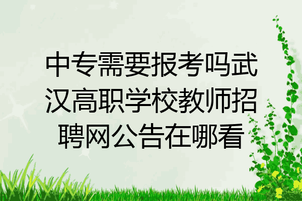 中专需要报考吗武汉高职学校教师招聘网公告在哪看