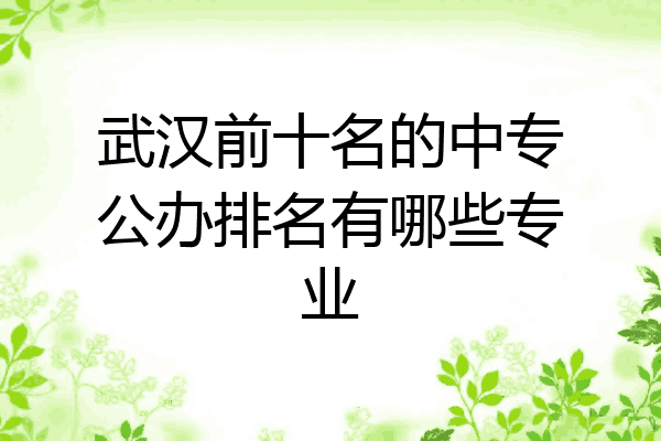 武汉前十名的中专公办排名有哪些专业