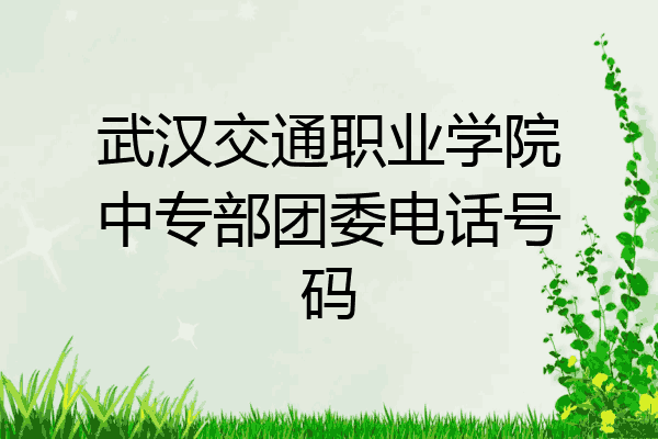 武汉交通职业学院中专部团委电话号码