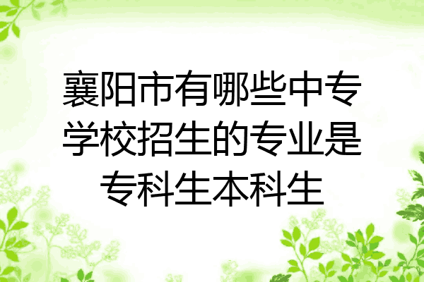 襄阳市有哪些中专学校招生的专业是专科生本科生