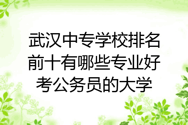 武汉中专学校排名前十有哪些专业好考公务员的大学