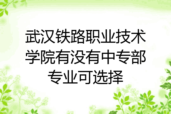 武汉铁路职业技术学院有没有中专部专业可选择