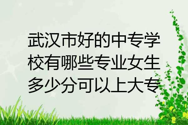 武汉市好的中专学校有哪些专业女生多少分可以上大专