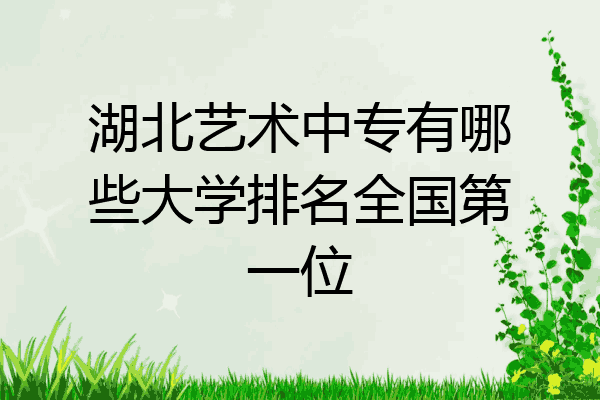 湖北艺术中专有哪些大学排名全国第一位