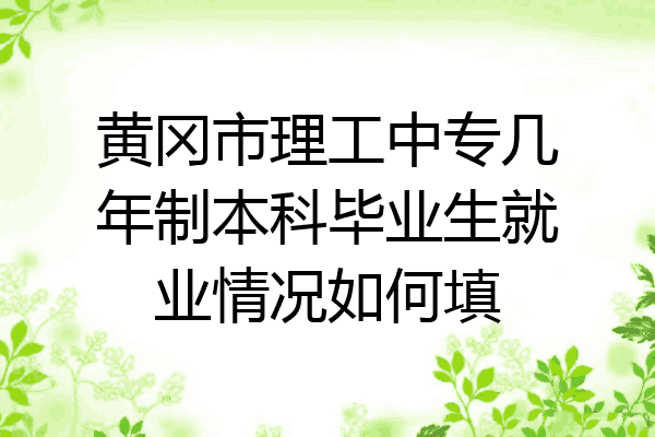 黄冈市理工中专几年制本科毕业生就业情况如何填