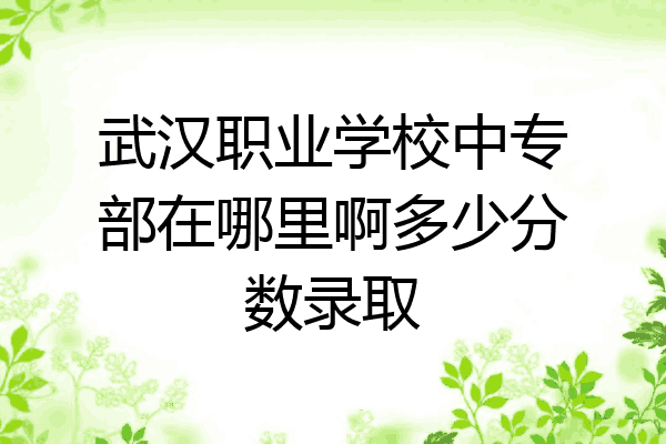 武汉职业学校中专部在哪里啊多少分数录取