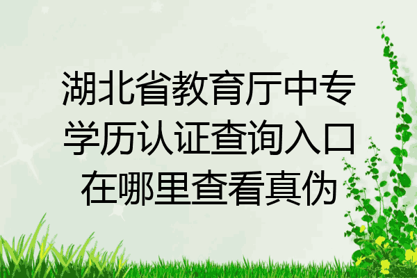 湖北省教育厅中专学历认证查询入口在哪里查看真伪