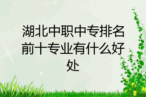 湖北中职中专排名前十专业有什么好处