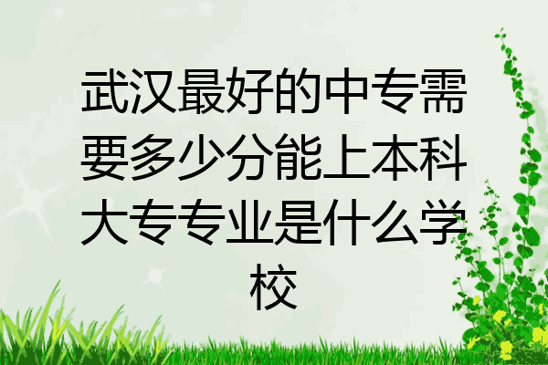 武汉最好的中专需要多少分能上本科大专专业是什么学校