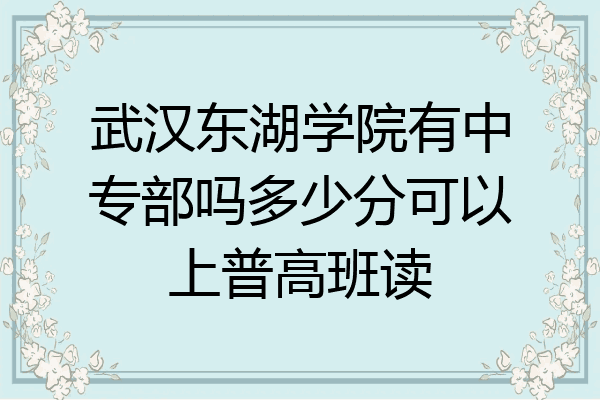 武汉东湖学院有中专部吗多少分可以上普高班读