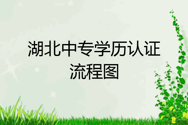 湖北中专学历认证流程图