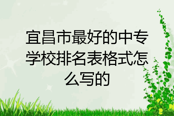 宜昌市最好的中专学校排名表格式怎么写的