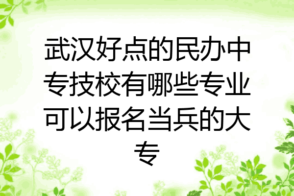武汉好点的民办中专技校有哪些专业可以报名当兵的大专