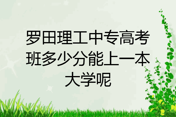 罗田理工中专高考班多少分能上一本大学呢