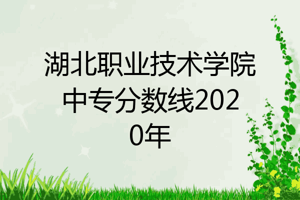 湖北职业技术学院中专分数线2020年