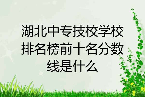 湖北中专技校学校排名榜前十名分数线是什么