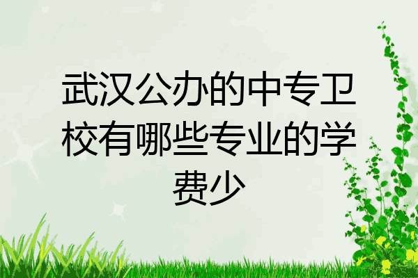 武汉公办的中专卫校有哪些专业的学费少