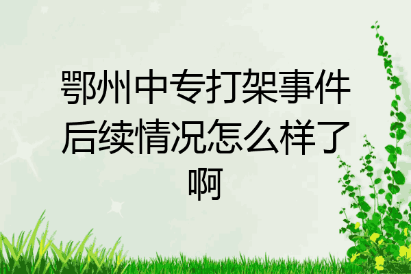 鄂州中专打架事件后续情况怎么样了啊