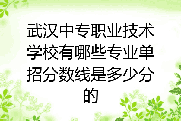 武汉中专职业技术学校有哪些专业单招分数线是多少分的