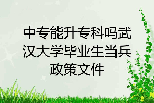 中专能升专科吗武汉大学毕业生当兵政策文件