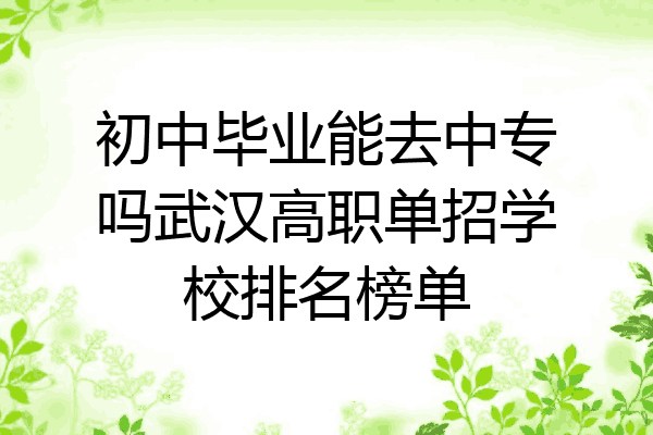 初中毕业能去中专吗武汉高职单招学校排名榜单