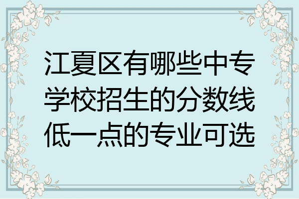 江夏区有哪些中专学校招生的分数线低一点的专业可选
