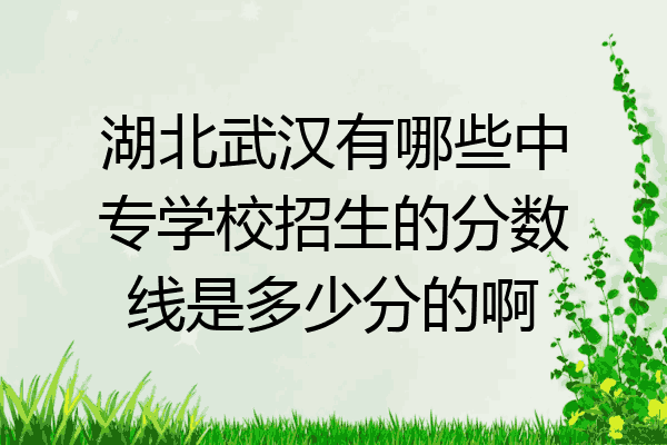 湖北武汉有哪些中专学校招生的分数线是多少分的啊