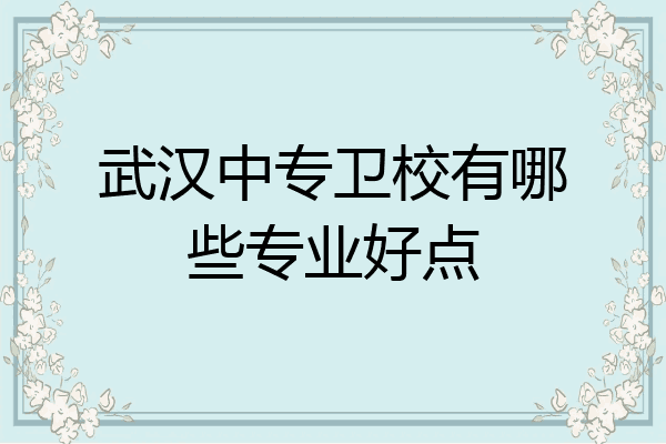 武汉中专卫校有哪些专业好点
