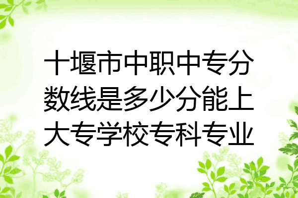 十堰市中职中专分数线是多少分能上大专学校专科专业