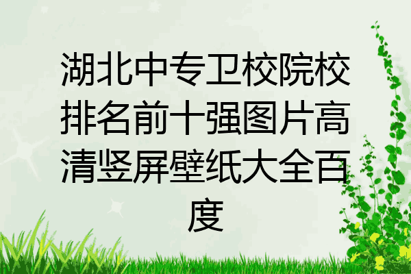 湖北中专卫校院校排名前十强图片高清竖屏壁纸大全百度