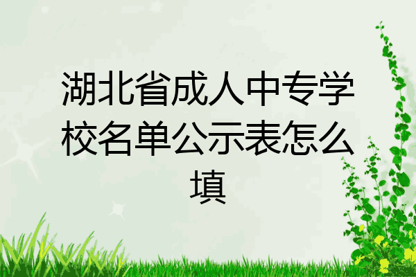 湖北省成人中专学校名单公示表怎么填