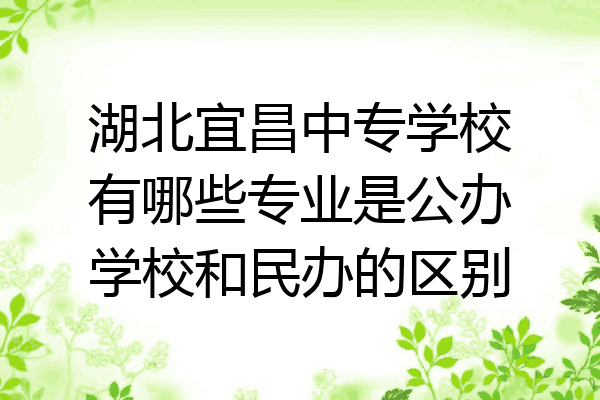 湖北宜昌中专学校有哪些专业是公办学校和民办的区别