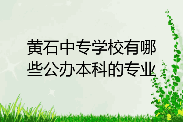 黄石中专学校有哪些公办本科的专业
