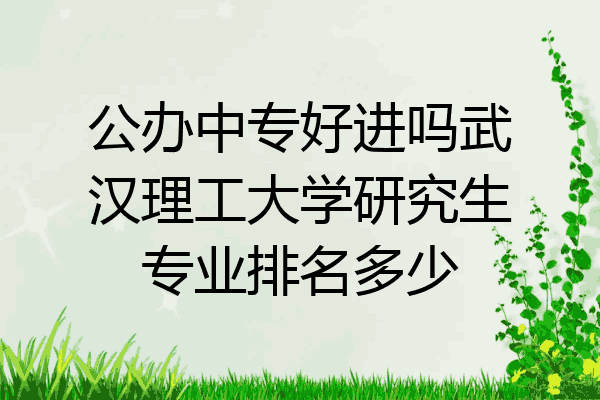 公办中专好进吗武汉理工大学研究生专业排名多少