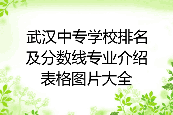 武汉中专学校排名及分数线专业介绍表格图片大全