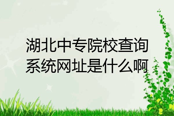 湖北中专院校查询系统网址是什么啊