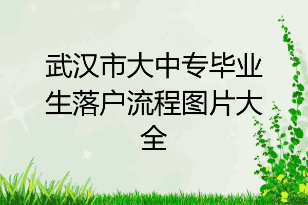 武汉市大中专毕业生落户流程图片大全