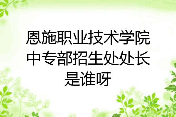 恩施职业技术学院中专部招生处处长是谁呀