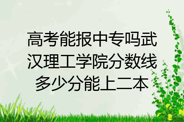 高考能报中专吗武汉理工学院分数线多少分能上二本