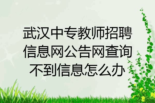 武汉中专教师招聘信息网公告网查询不到信息怎么办